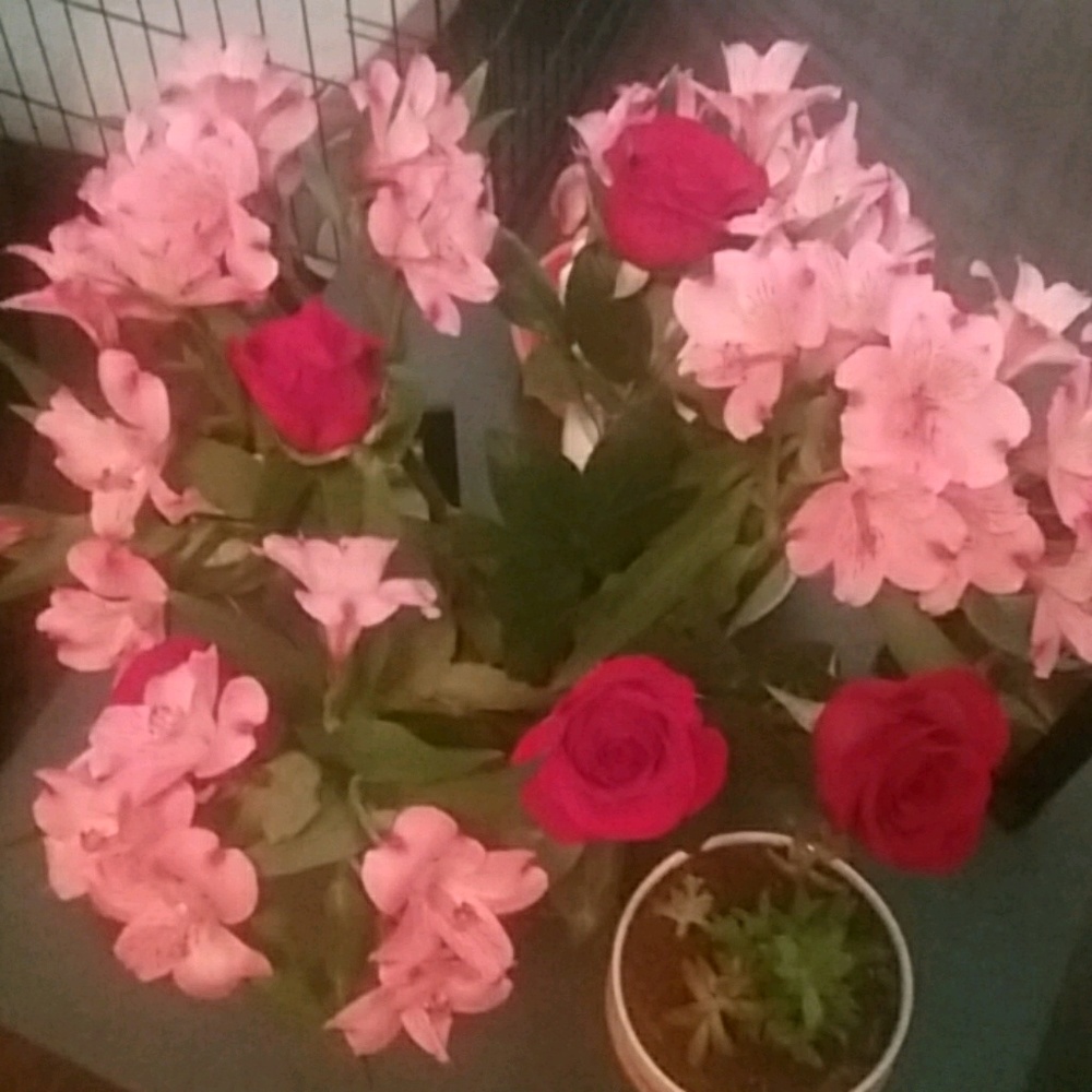 Meet your Posher, Diaz